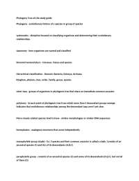 Phylogeny and the Tree of Life