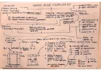 Schemi riassuntivi dei temi trattati nel corso di Morfologia e concezione delle strutture