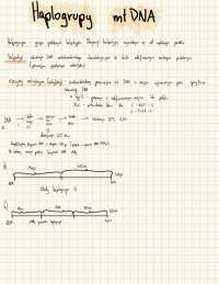 Haplogrupy mtDNA …..