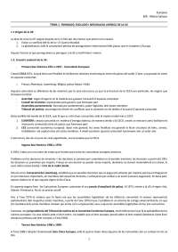derecho europeo tema 3 y 4 Irene Araguas