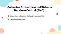 Meninges, Líquido Cefalorraquídeo y Ventrículos Cerebrales - Prof. Torres