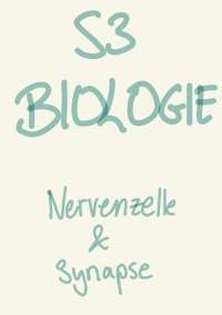 S3 bis S4 (2023/2024) Notizen zu Biologie (Themen in der Beschreibung)