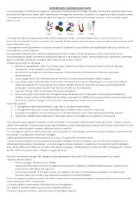 appunti per l’esame di microbiologia e microbiologia clinica