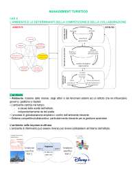 Management turistico e business plan
