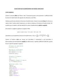 Guida Matlab Elaborazione dei segnali biologici
