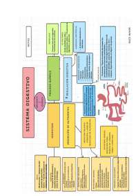 Sistema digestivo y absorción de nutrientes