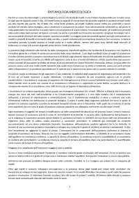 Controllo degli Insetti nelle Derrate Alimentari: Strategie e Metodi