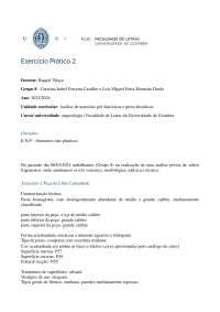 Análise de Materiais Pré-históricos e Proto-históricos: Exercícios Práticos