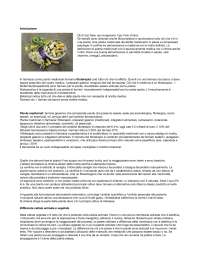 Piante Medicinali: Proprietà, Metaboliti e Applicazioni - Prof. Pollastro