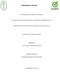 Auditoría y Control Interno: Apuntes de Administración - Prof. Lopez