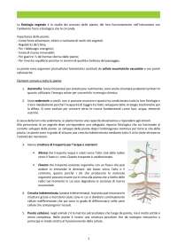 Introduzione materia