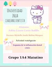 Esquema de la inflamación