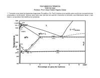 TRATAMIENTOS TÉRMICOS: Taller de Clase - Diagramas de Fases y Microestructuras