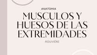 Huesos y musculos de extremidades superiores e inferiores