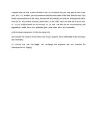 economic exposure exercise
