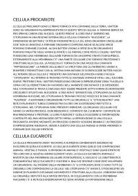 Ciclo cellulare 2 anno liceo scientifico