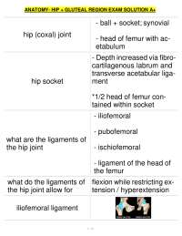 Anatomy of the Hip and Gluteal Region