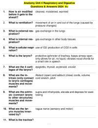 Respiratory and Digestive Systems: Structure, Function, and Processes