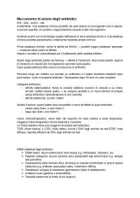 Meccanismi di Azione degli Antibiotici: Un'Introduzione Approfondita