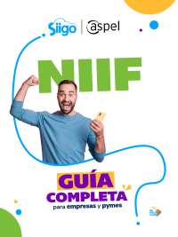 Guía Completa de las NIIF para Empresas y Pymes