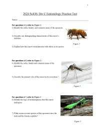 Scioly Div C Entomology Practice Test: Insect Identification and Morphology