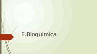 Exámenes de bioquímica 1