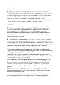СРС, короткий виклад теми "Отомікоз"