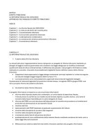 sintesi dell'addendum al libro "diritto tributario" :LA RIFORMA FISCALE DEL 2023/2024