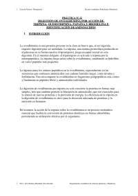 Práctica de Laboratorio: Digestión de Ovoalbúmina por Acción de Enzimas Proteolíticas