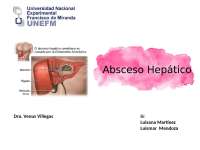 Absceso Hepático: Etiología, Fisiopatología, Diagnóstico y Manejo