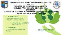 Análisis del Lavado de Vísceras y Tratamiento de Heces en el Camal Municipal de Huaraz