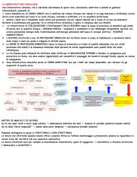 Idrologia tecnica e fondamenti di ingegneria dei sistemi idraulici