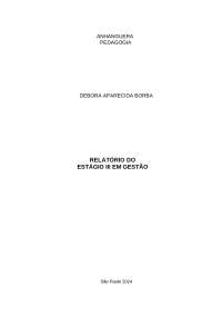 RELATORIO ESTAGIO III