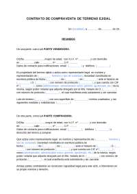 Contrato individual colectivo