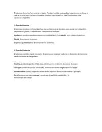 informacion sobre pancreas