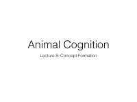 Animal Cognition: Concept Formation - Lecture Notes - Prof. Martin