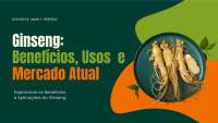 Ginseng: Benefícios, Usos e Mercado Atual