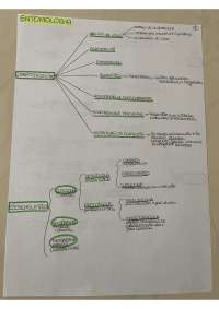 Entomologia generale