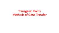Genetics, Plant Breeding, Transgenic Plants