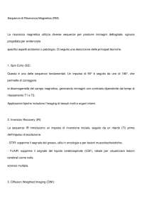 Rmn sequenze mini riassunto