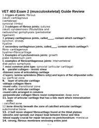 VET 403 Exam 2: Musculoskeletal Anatomy & Pathology Guide
