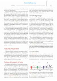 placenta y sus anexos donde aborademors como esta formado
