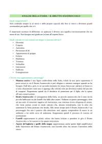 Fiaba del brutto anatroccolo