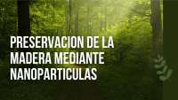 Evaluación de Formulaciones de Cobre para la Protección de la Madera contra Hongos