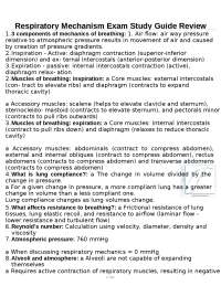 Respiratory Mechanism Exam Study Guide Review
