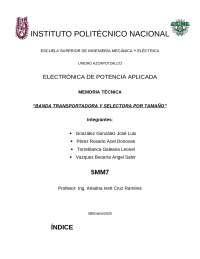 Diseño y Construcción de una Banda Transportadora y Seleccionadora por Tamaño