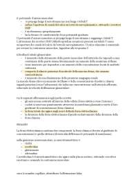 Domande fisiologia umana