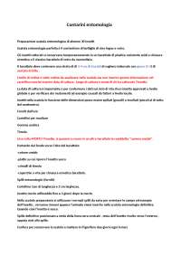Appunti corso base  di entomologia agraria