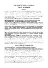 Riassunto per l'esame di Diritti fondamentali - Scalzo, libro "L'ordinamento criminale"