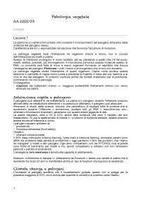 Sono gli appunti presi a lezione integrati con le slide del Professore